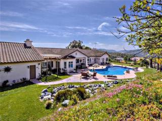 31726 Nira Lane , Bonsall, CA 92003 (#150003448) :: The Marelly Group | Realty One Group 31726 Nira Lane , Bonsall, CA 92003 (#150003448) :: The Marelly Group | Realty One Group