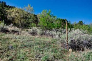Upper Canyon Road, 4 Contiguous Lots , Santa Fe, NM 87501 (MLS #201402655) :: The Very Best of Santa Fe Upper Canyon Road, 4 Contiguous Lots , Santa Fe, NM 87501 (MLS #201402655) :: The Very Best of Santa Fe
