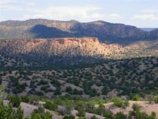 0 Rancho Canon Seco , Ojo Caliente, NM 87549 (MLS #201201127) :: The Very Best of Santa Fe 0 Rancho Canon Seco , Ojo Caliente, NM 87549 (MLS #201201127) :: The Very Best of Santa Fe