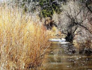 0 Rancho Servilleta , La Madera, NM 87539 (MLS #201202018) :: The Very Best of Santa Fe 0 Rancho Servilleta , La Madera, NM 87539 (MLS #201202018) :: The Very Best of Santa Fe