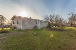 17015 Prentice Rd , Cottonwood, CA 96022 (#15-338) :: Cory Meyer Home Selling Team 17015 Prentice Rd , Cottonwood, CA 96022 (#15-338) :: Cory Meyer Home Selling Team