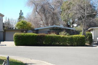 10831 Johnson Ave , Cupertino, CA 95014 (#ML81453755) :: RE/MAX Real Estate Services 10831 Johnson Ave , Cupertino, CA 95014 (#ML81453755) :: RE/MAX Real Estate Services
