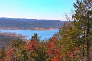 Lot 21-Phase Xi Shadow Ridge , Hollister, MO 65672 (MLS #60018714) :: Good Life Realty of Missouri Lot 21-Phase Xi Shadow Ridge , Hollister, MO 65672 (MLS #60018714) :: Good Life Realty of Missouri