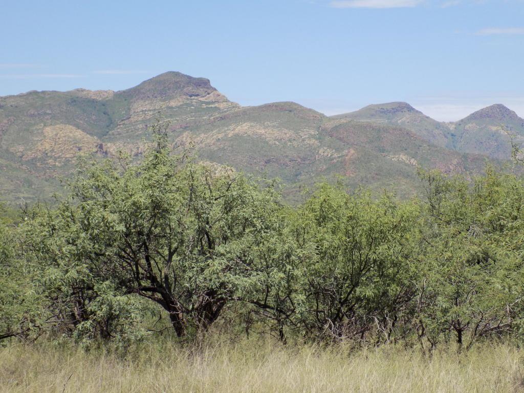 TBD RIO RICO 0