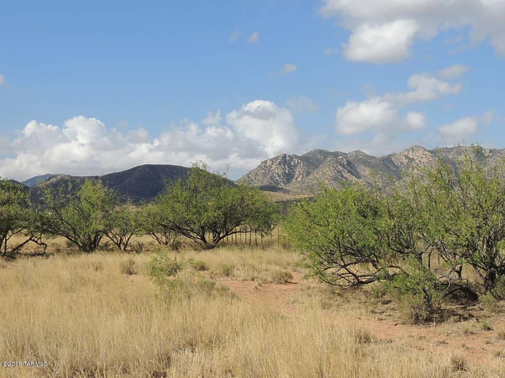 400 AC South on Slope Along Road 1