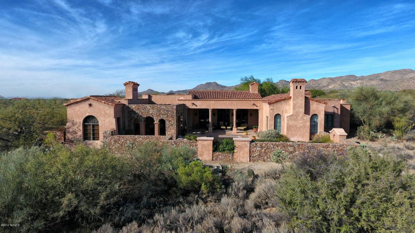 1272 W Twisted Mesquite Place