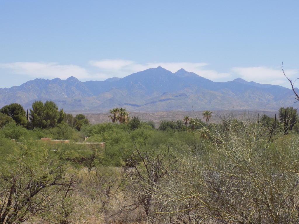 TBD I-19 Frontage Road #