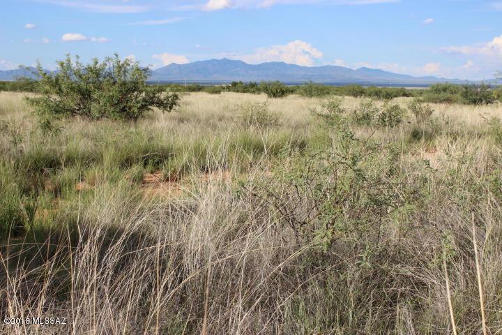 TBD 19.80 Acres off of Rodeo Drive