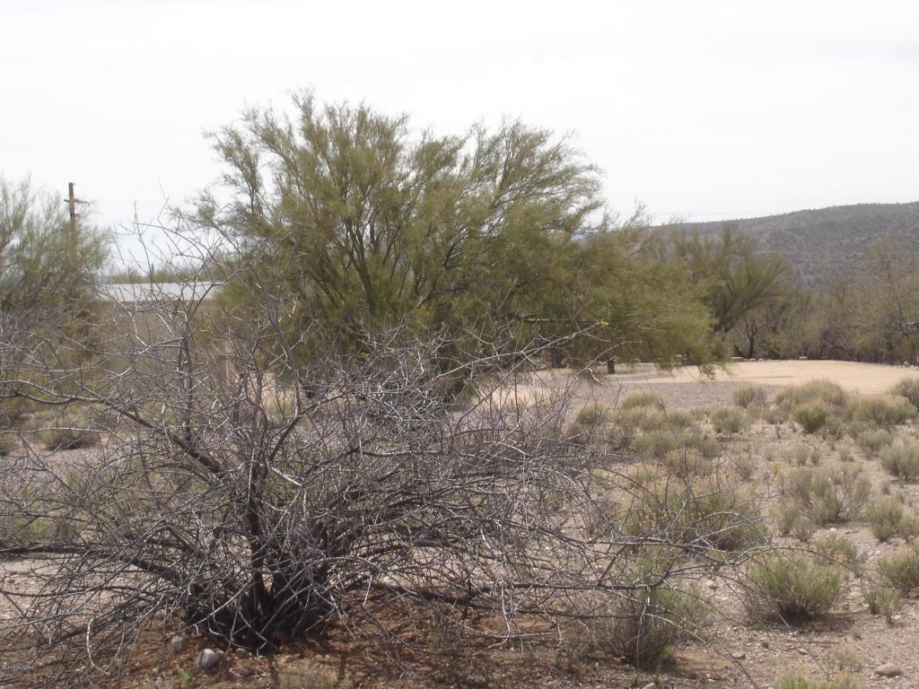 4780 S Jumping Cactus Road