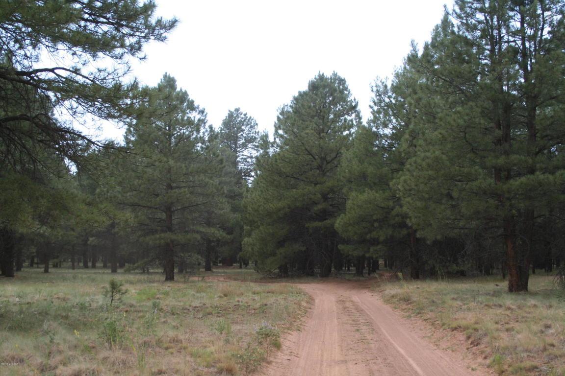 TBD Forest Rd 9420N