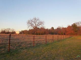 13393 Cr 463 , Tyler, TX 75706 (MLS #10052966) :: The Kerissa Payne Team at RE/MAX Legacy 13393 Cr 463 , Tyler, TX 75706 (MLS #10052966) :: The Kerissa Payne Team at RE/MAX Legacy
