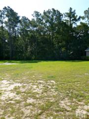 8206 Porters Crossing , Wilmington, NC 28411 (#508809) :: The Keith Beatty Team 8206 Porters Crossing , Wilmington, NC 28411 (#508809) :: The Keith Beatty Team