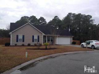 4902 Rose Trellis , Wilmington, NC 28412 (#516433) :: The Keith Beatty Team 4902 Rose Trellis , Wilmington, NC 28412 (#516433) :: The Keith Beatty Team