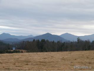 778 Turkey Creek , Leicester, NC 28748 (MLS #555427) :: Exit Realty Vistas 778 Turkey Creek , Leicester, NC 28748 (MLS #555427) :: Exit Realty Vistas