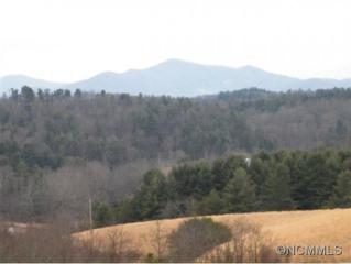 778 Turkey Creek , Leicester, NC 28748 (MLS #558494) :: Exit Realty Vistas 778 Turkey Creek , Leicester, NC 28748 (MLS #558494) :: Exit Realty Vistas