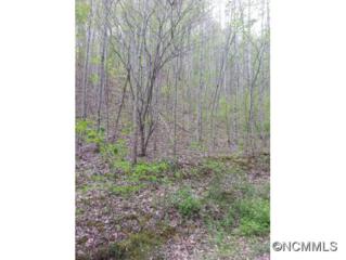 000 Wooded Mountain Trail , Mars Hill, NC 28754 (MLS #562239) :: Exit Realty Vistas 000 Wooded Mountain Trail , Mars Hill, NC 28754 (MLS #562239) :: Exit Realty Vistas