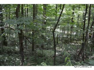 Lot 36 Scenic View Dr. , Waynesville, NC 28785 (MLS #569278) :: Exit Realty Vistas Lot 36 Scenic View Dr. , Waynesville, NC 28785 (MLS #569278) :: Exit Realty Vistas