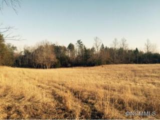 10.5 ac. Critter Crossing , Lake Lure, NC 28746 (MLS #576761) :: Caulder Realty and Land Co. 10.5 ac. Critter Crossing , Lake Lure, NC 28746 (MLS #576761) :: Caulder Realty and Land Co.