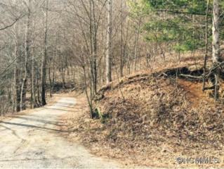 Lot 6 Woody's Drive , Bat Cave, NC 28710 (MLS #578027) :: Caulder Realty and Land Co. Lot 6 Woody's Drive , Bat Cave, NC 28710 (MLS #578027) :: Caulder Realty and Land Co.