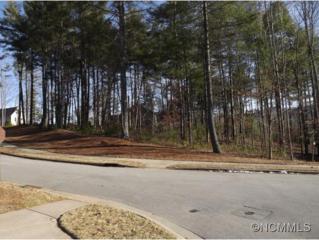 20 Cats Whisker Court , Biltmore Lake, NC 28715 (#578696) :: Exit Realty Vistas 20 Cats Whisker Court , Biltmore Lake, NC 28715 (#578696) :: Exit Realty Vistas
