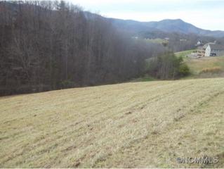 17 Jilmar Ct. , Candler, NC 28715 (MLS #535280) :: Exit Realty Vistas 17 Jilmar Ct. , Candler, NC 28715 (MLS #535280) :: Exit Realty Vistas