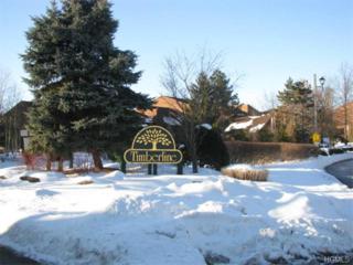 40 Aspen Court , Nanuet, NY 10954 (MLS #4504788) :: William Raveis Baer & McIntosh 40 Aspen Court , Nanuet, NY 10954 (MLS #4504788) :: William Raveis Baer & McIntosh