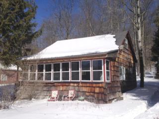 365 Kelly Bridge Road , Swan Lake, NY 12783 (MLS #4508118) :: Mark Seiden Real Estate Team 365 Kelly Bridge Road , Swan Lake, NY 12783 (MLS #4508118) :: Mark Seiden Real Estate Team
