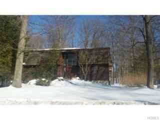 11 Jade Court , Pomona, NY 10970 (MLS #4507401) :: Realty Teams 11 Jade Court , Pomona, NY 10970 (MLS #4507401) :: Realty Teams